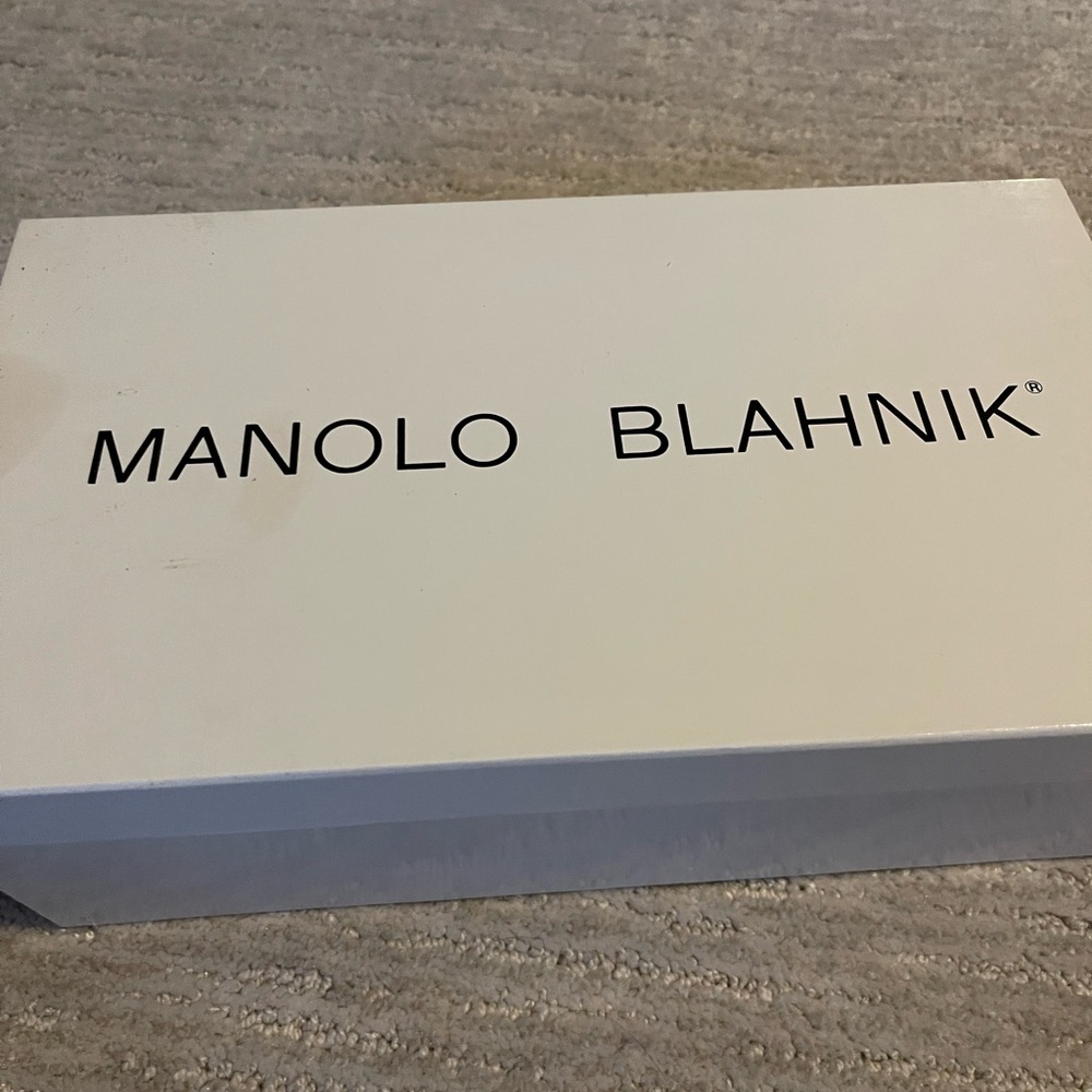 Manolo Blahnik dress pumps - low heel